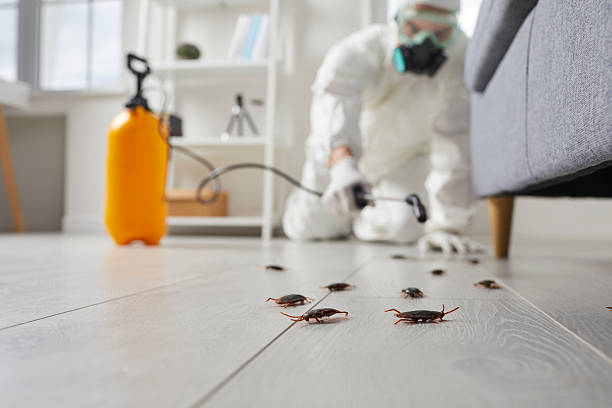Commercial Rodent Management in Tarboro